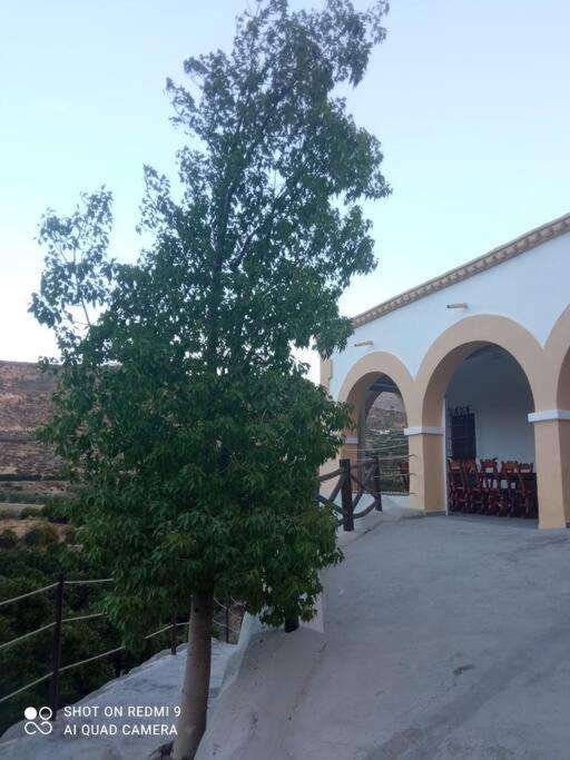 Cortijocueva Con Encanto Natural Terque ภายนอก รูปภาพ